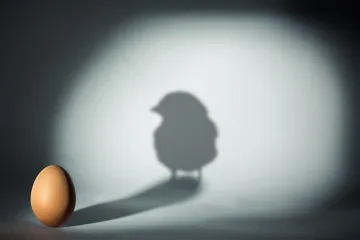 Create a Shadow Board