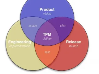 Technical Program Managers